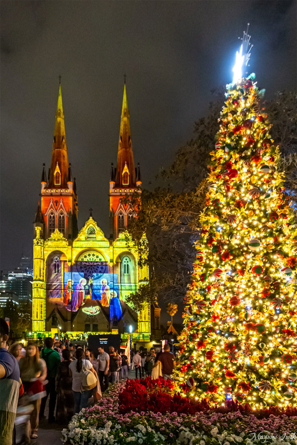 2023年版 シドニーで楽しめるクリスマス・ライトアップ CHRISTMAS LIGHTS IN SYDNEY