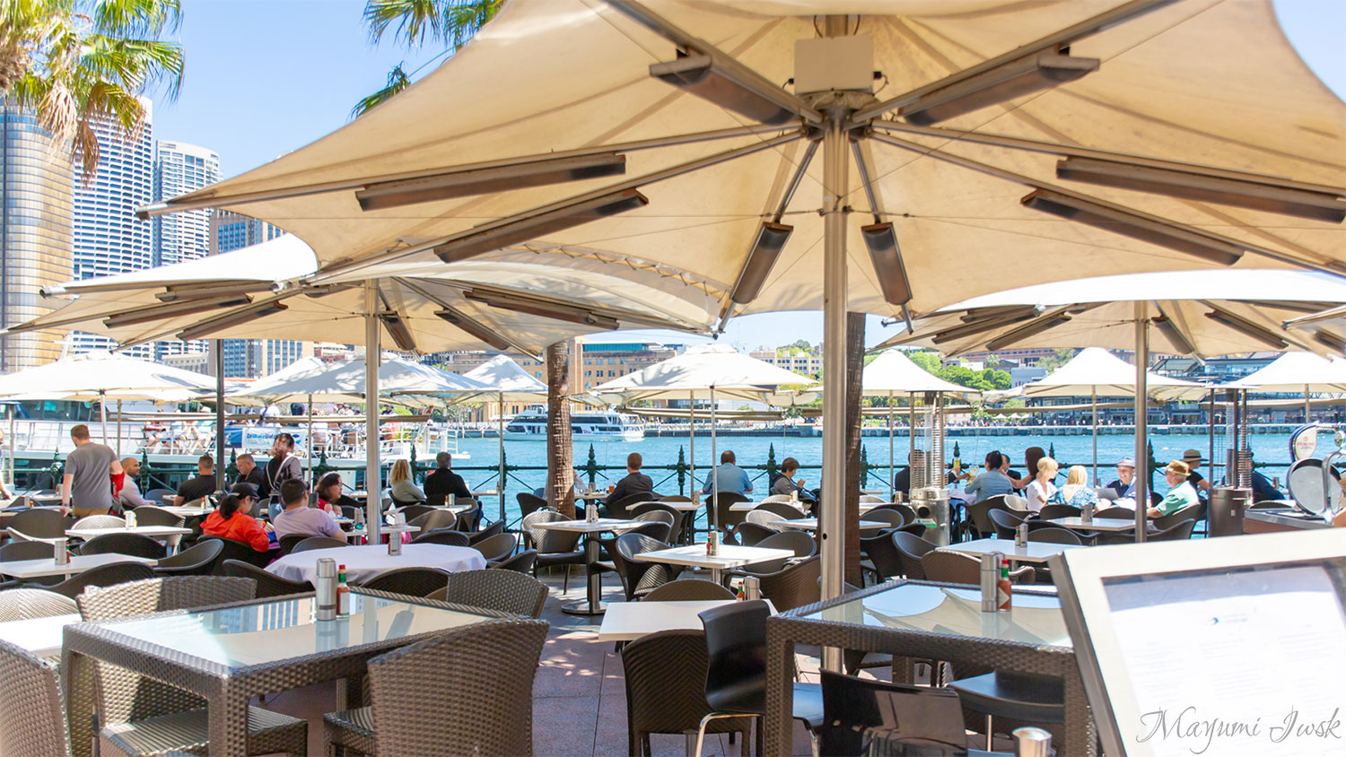 【閉店】ハーバーブリッジと絶品オイスター「シドニー・コーヴ・オイスター・バー（SYDNEY COVE OYSTER BAR）」