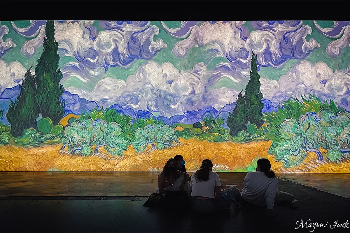 没入型アートを体験！ゴッホの世界観に浸る展示 VAN GOGH ALIVE