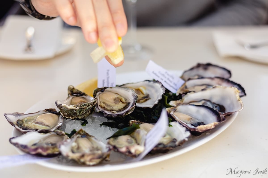 Sydney Rock Oyster / シドニー・ロック・オイスター