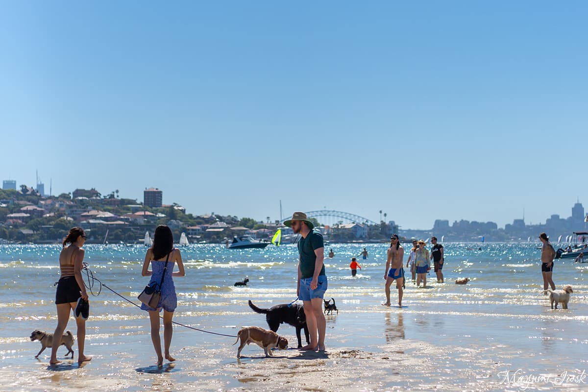 Rose Bay Beach Sydney / シドニーのローズ・ベイ・ビーチ