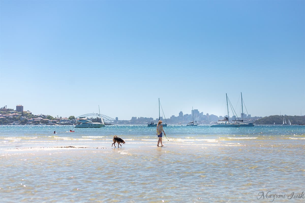 Rose Bay Beach Sydney / シドニーのローズ・ベイ・ビーチ