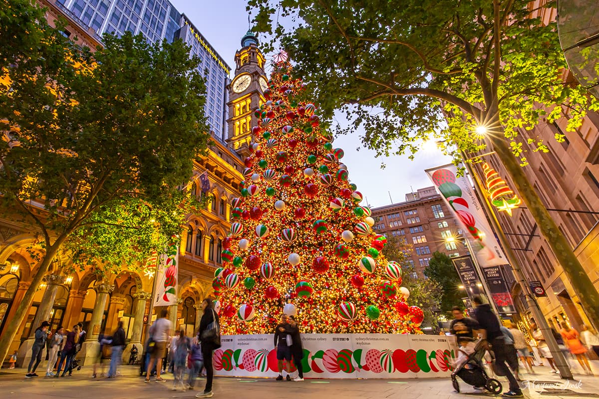 真夏のシドニーのクリスマス・ライトアップ