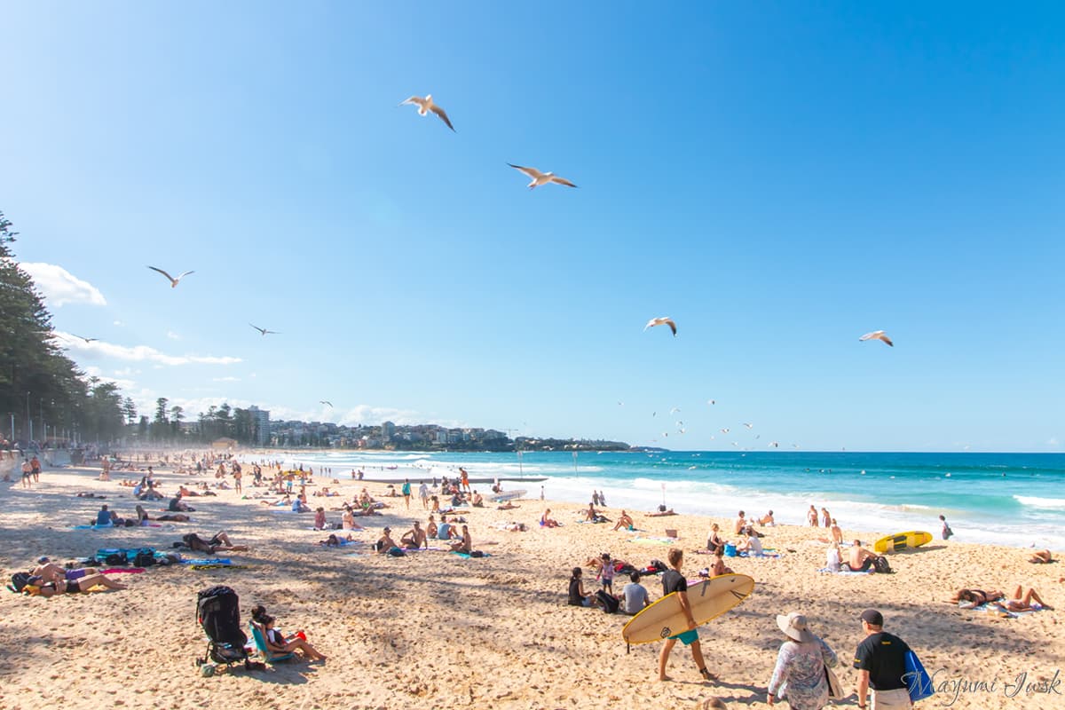 シドニー郊外のサーフビーチ「マンリービーチ（MANLY BEACH）」