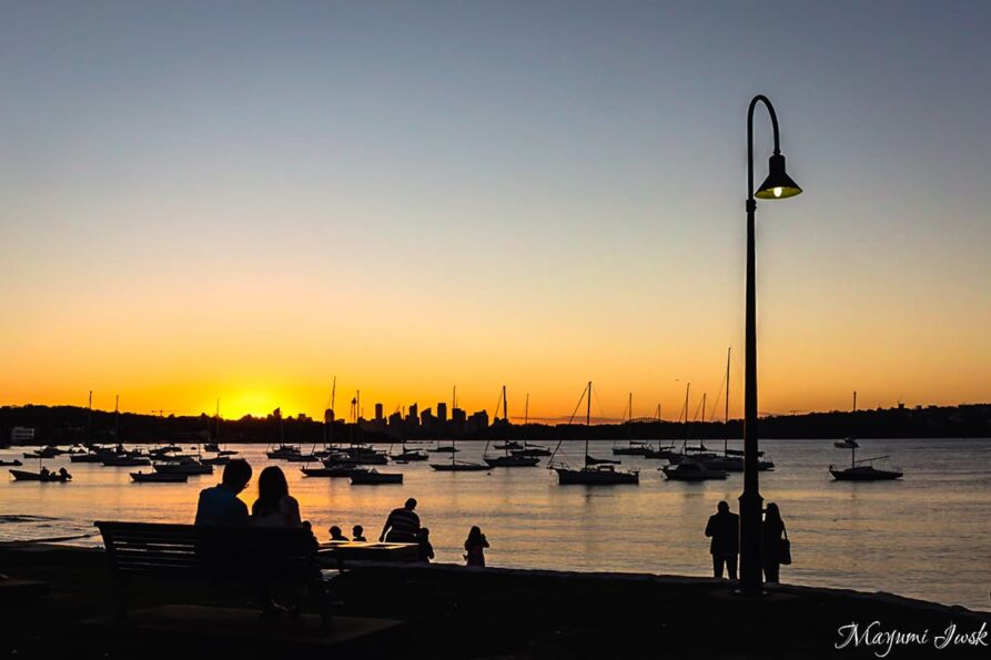 夕日とシドニー湾を一望 ROBERTSON PARK（ロバートソンパーク）| WATSONS BAY