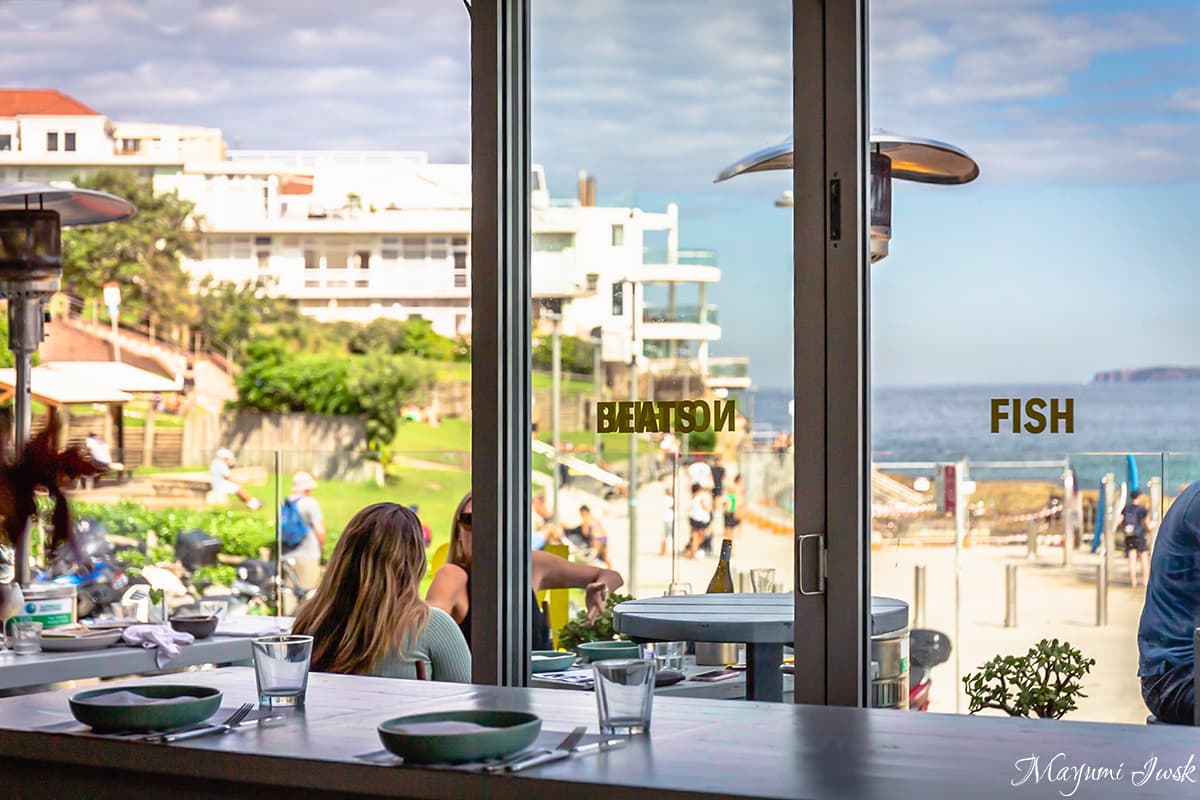 ボンダイビーチを一望するレストラン「ノースボンダイ・フィッシュ（ NORTH BONDI FISH）」