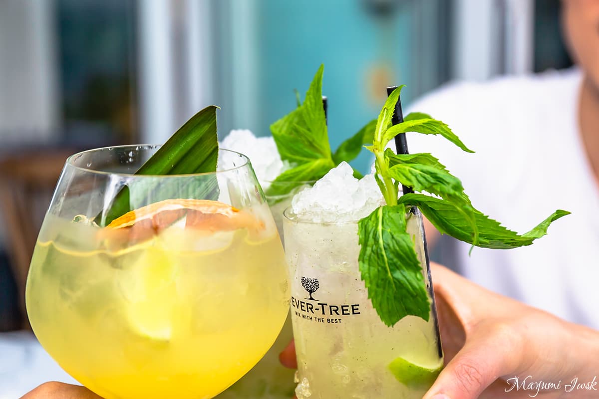 ボンダイビーチを一望するレストラン「ノースボンダイ・フィッシュ（ NORTH BONDI FISH）」