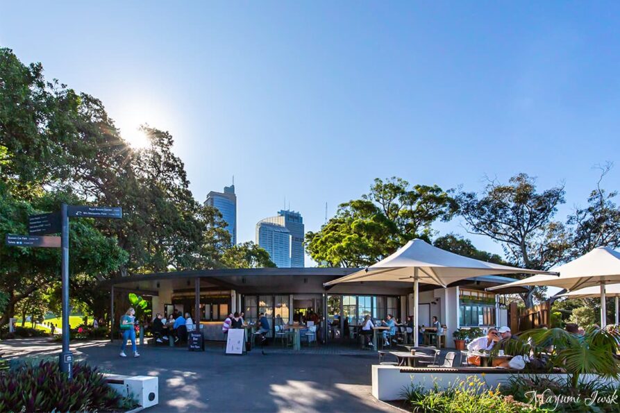 シドニーでおすすめの眺めのいいレストラン