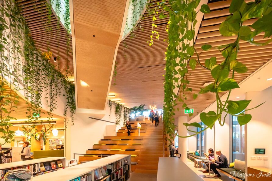 緑溢れる都市型オシャレ図書館 Woollahra Library（ダブルベイ / ウラーラ図書館）
