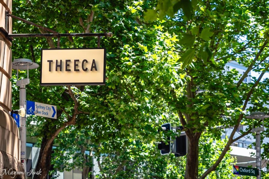 ジャカランダ並木を見下ろすカフェ THEECA（ティーカ）