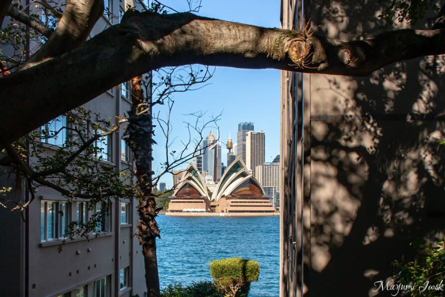 ハーバーブリッジお散歩ガイド：シドニー湾の絶景を楽しむ