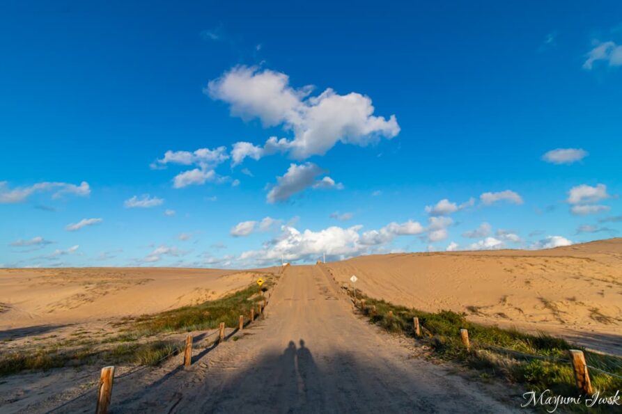 【シドニー近郊】南半球最大の砂丘 ポートスティーブンスのストックトンビーチ（Stockton Beach）