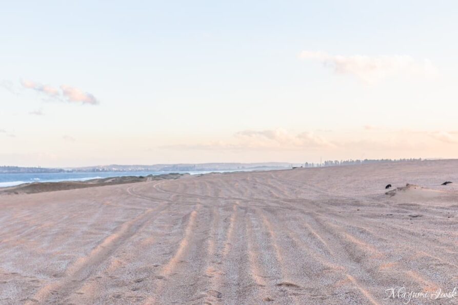 【シドニー近郊】南半球最大の砂丘 ポートスティーブンスのストックトンビーチ（Stockton Beach）