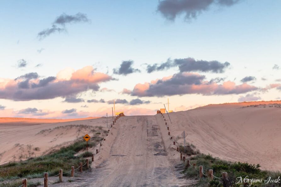 【シドニー近郊】南半球最大の砂丘 ポートスティーブンスのストックトンビーチ（Stockton Beach）