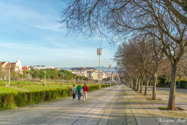 リスボンを見渡す絶景と癒しの公園「エドゥアルド7世公園」