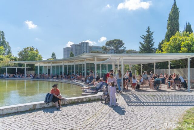リスボンを見渡す絶景と癒しの公園「エドゥアルド7世公園」