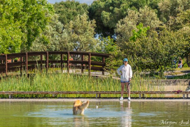 リスボンを見渡す絶景と癒しの公園「エドゥアルド7世公園」