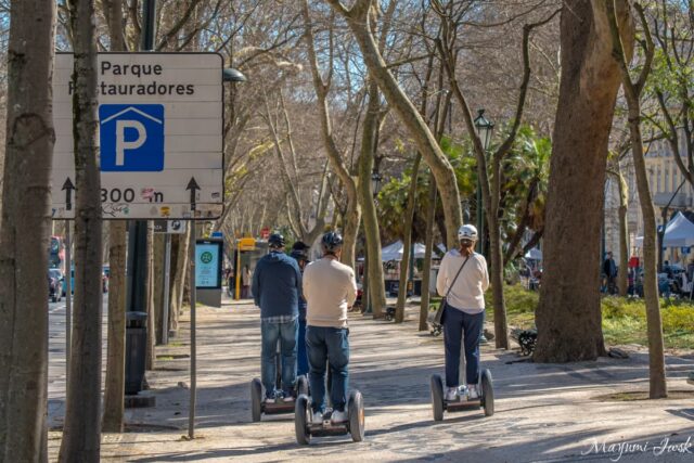 リスボンを見渡す絶景と癒しの公園「エドゥアルド7世公園」