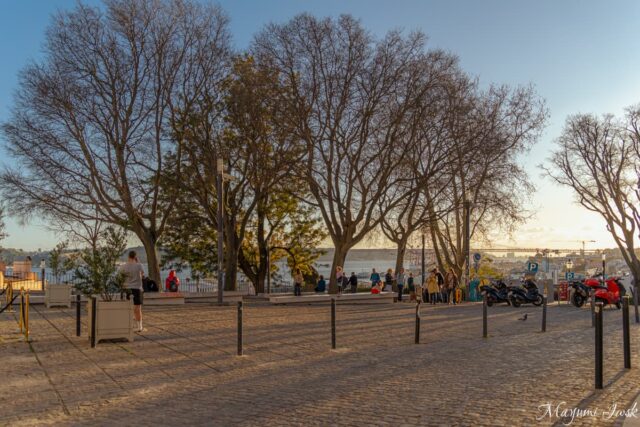 ローカルが集う「サンタ・カタリーナ展望台」で過ごす夕暮れ