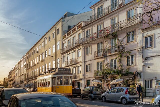 リスボンで“食後の締め”に。ヴィーガン・ジェラート「Uao（ウアオ）」