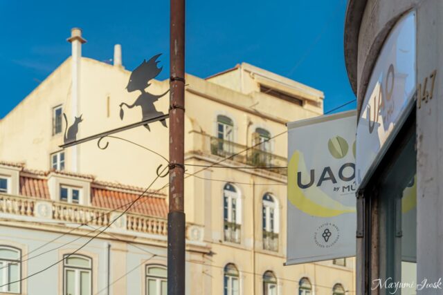 リスボンで“食後の締め”に。ヴィーガン・ジェラート「Uao（ウアオ）」