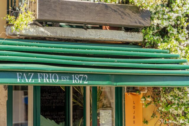 1872年創業、プリンシペ・レアルの老舗レストラン「Faz Frio（ファシュ・フリオ）」正直レビュー