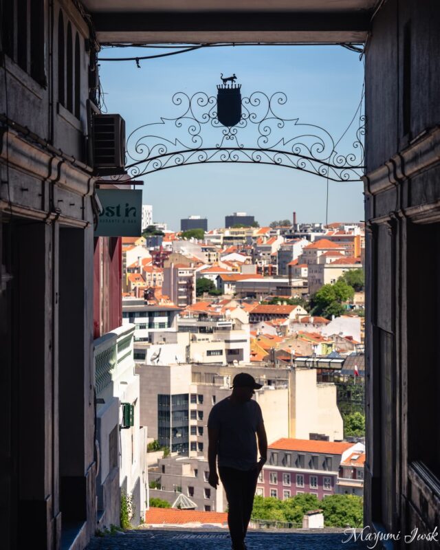 リスボンの絶景レストラン「Lost In」｜プリンシペ・レアルで味わうインド×ポルトガル料理