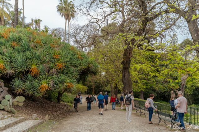 リスボン・プリンシペ・レアルの都会のジャングル|リスボン国立植物園(Jardim Botânico de Lisboa)