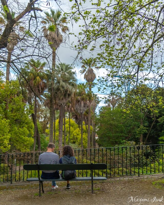 リスボン・プリンシペ・レアルの都会のジャングル|リスボン国立植物園(Jardim Botânico de Lisboa)