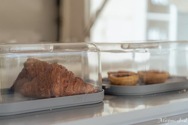 リスボン・プリンシペ・レアルの都会のジャングル|リスボン国立植物園(Jardim Botânico de Lisboa)