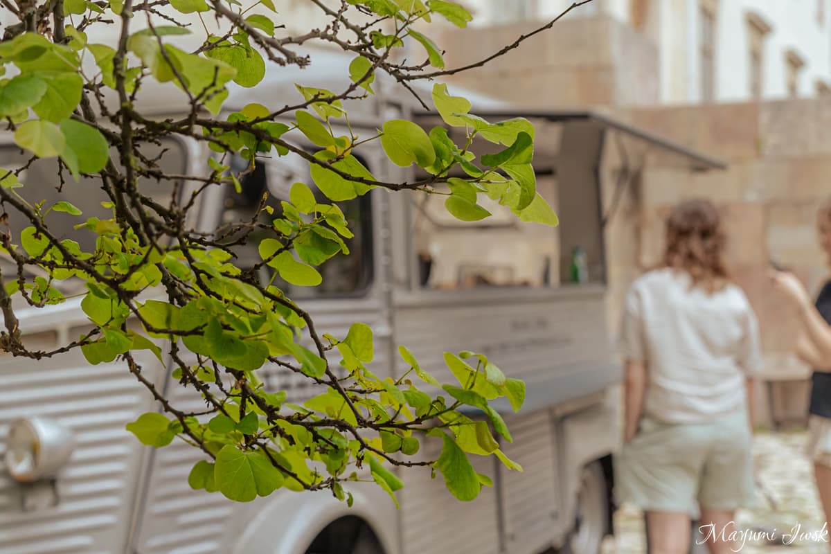 リスボン・プリンシペ・レアルの都会のジャングル｜リスボン国立植物園（Jardim Botânico de Lisboa）