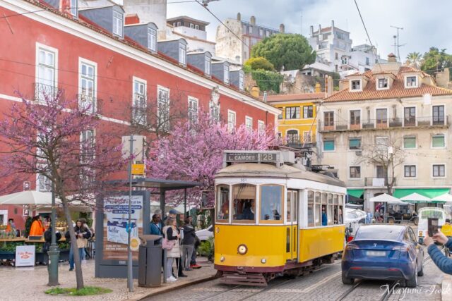 リスボン旧市街の太陽の門 | アルファマのポルタル・ド・ソル展望台