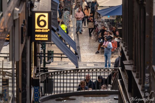 ポルトガルで出会った“絵の具のようなジャム”｜大人へのお土産に meia.dúzia（メイア・ドゥジア）