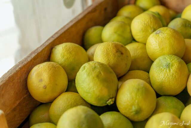 リスボン・サントスにある気取らない可愛さのカフェ｜Café Janis（ジャニス）