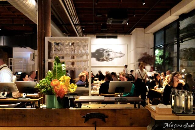 シドニーの人気店 NOMAD｜サリーヒルズで味わう中東×オーストラリア料理