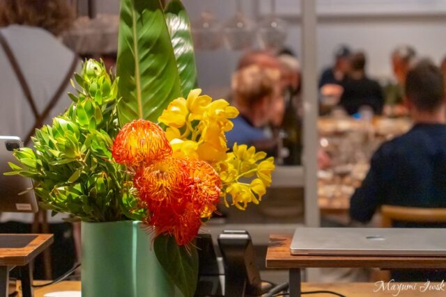 シドニーの人気店 NOMAD｜サリーヒルズで味わう中東×オーストラリア料理