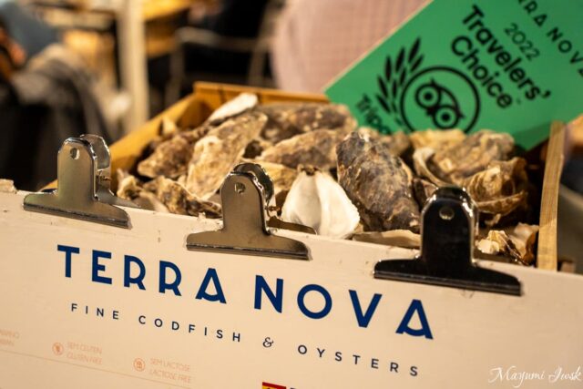【ポルト】ドウロ川沿いの絶景レストラン「Terra Nova」でバカリャウと生牡蠣