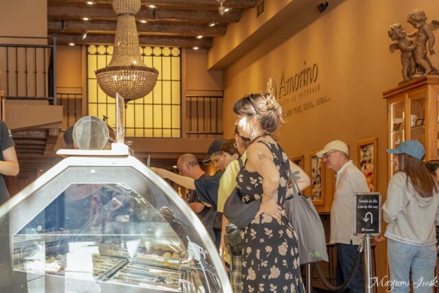 【ポルト】日本未上陸の絶品バラ盛りジェラート「Amorino（アモリーノ）」